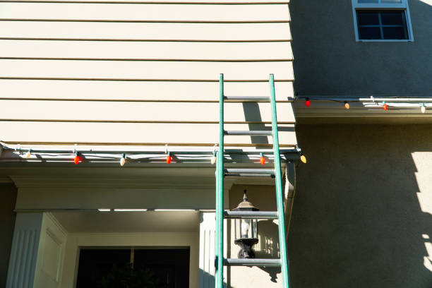 Best Vinyl Siding Installation  in Bismarck, MO